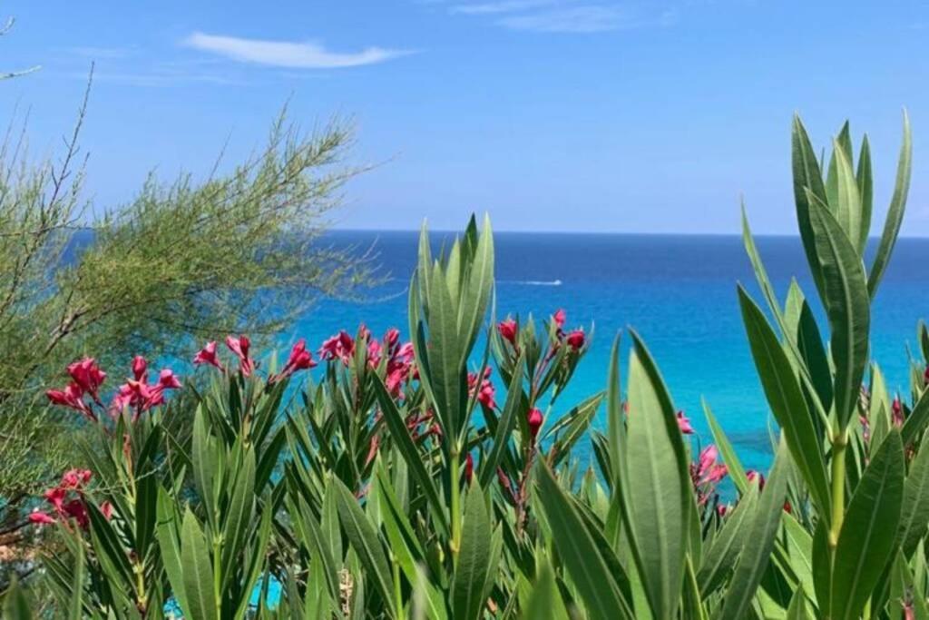 פרגליה Boutique Apartment With Beach Within Walking Distance, Near Tropea מראה חיצוני תמונה